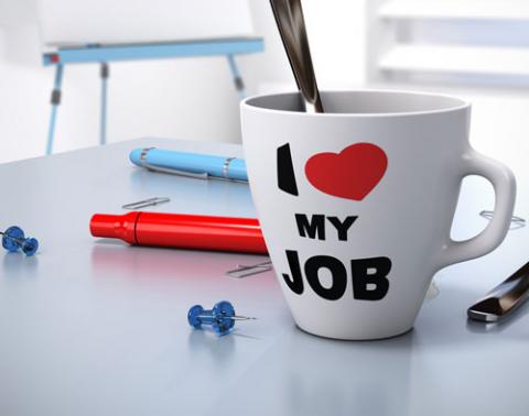 Love your job (again)